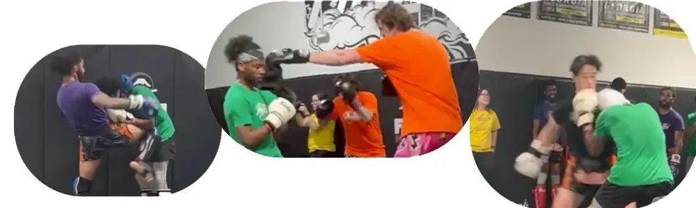 Image of dove doing Muay Thai